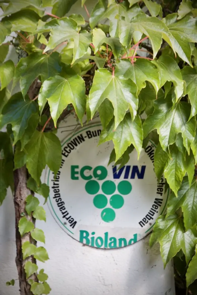 Rheinhessen Geniessen - Kulinarische Highlights